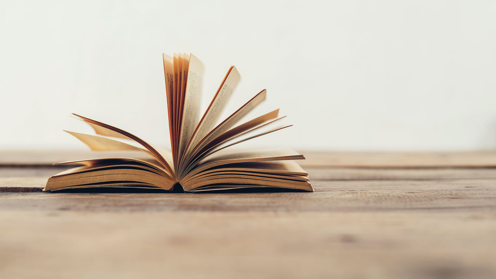 plant growing on hand